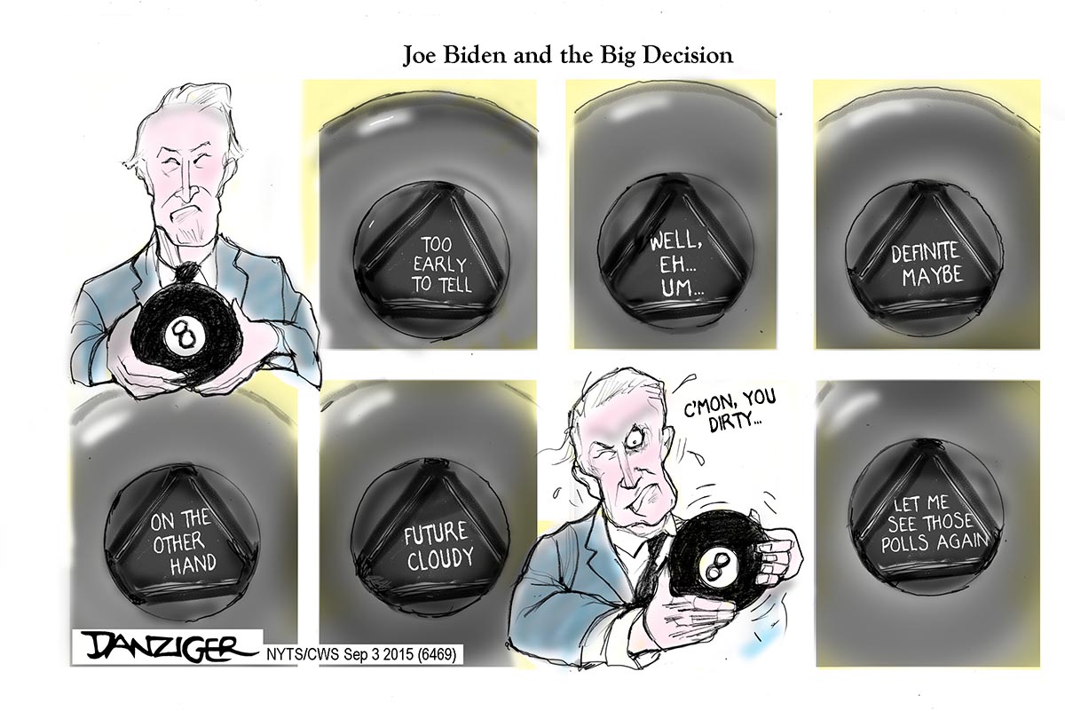 Joe Biden, decision, presidential run