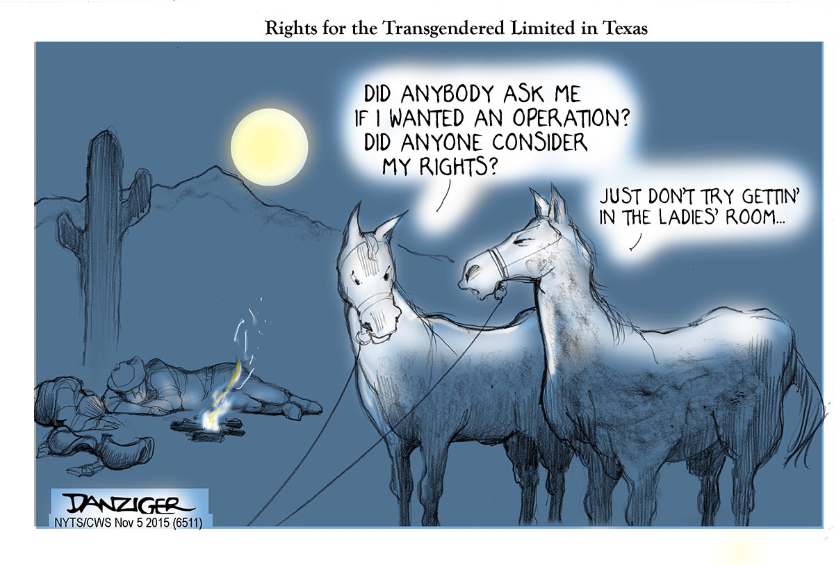 Texas, transgender, geldings, political cartoon