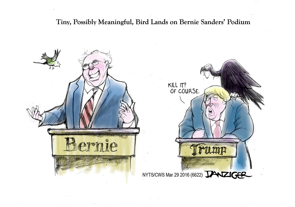 Bernie Sanders, Trump, bird on podium, political cartoon