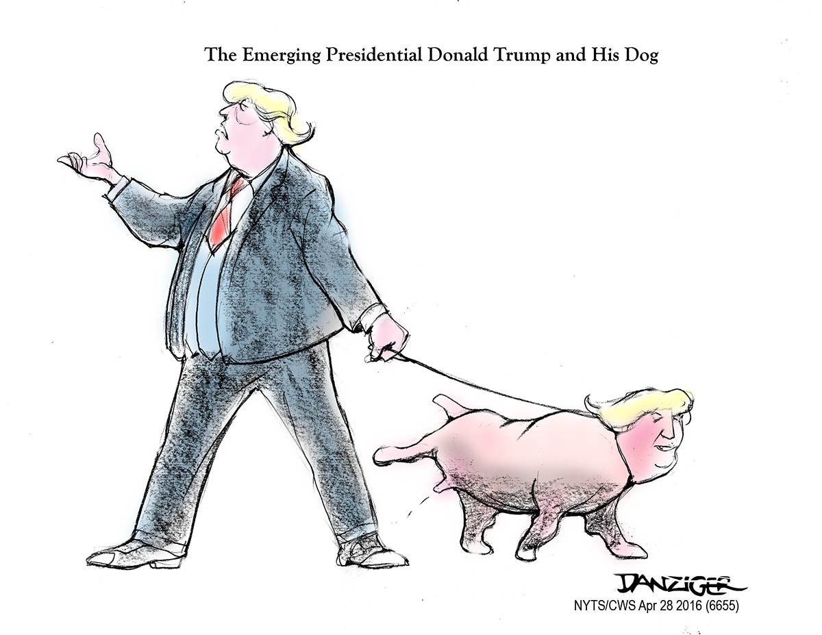 Trump, Presidential, political cartoon