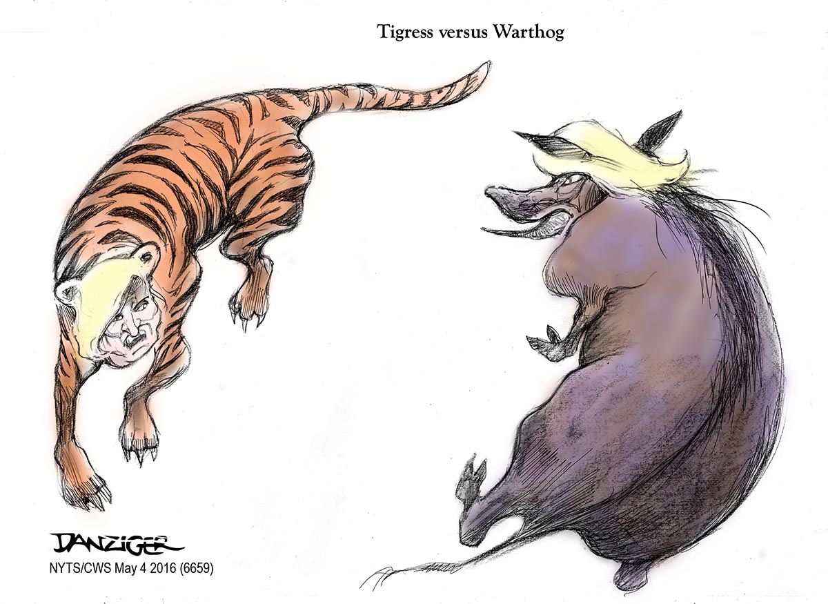 Clinton, Trump, tigress, warthog, political cartoon